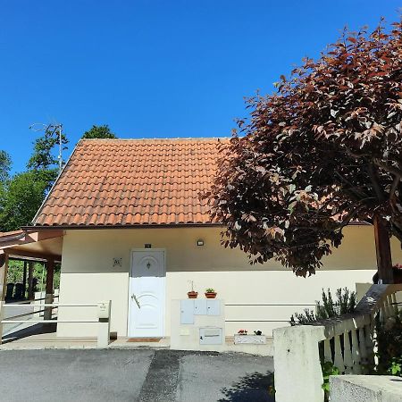Апартаменты Casas Do Caminho Velho Рибейра-ди-Пена Экстерьер фото